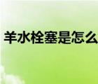 羊水栓塞是怎么引起的（羊水是怎么产生的）