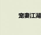 宠妻江湖路小说（宠妻江湖路）