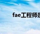 fae工程师是做什么的（fae工程师）