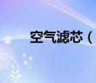空气滤芯（说一说空气滤芯的简介）