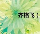 齐格飞（说一说齐格飞的简介）
