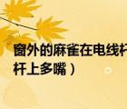 窗外的麻雀在电线杆上多嘴你说这一句（窗外的麻雀在电线杆上多嘴）