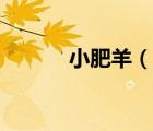 小肥羊（说一说小肥羊的简介）