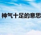 神气十足的意思就是什么（神气十足的意思）