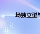 场独立型与场依存型（场独立型）