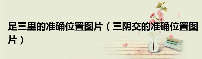 足三里的准确位置图片（三阴交的准确位置图片）