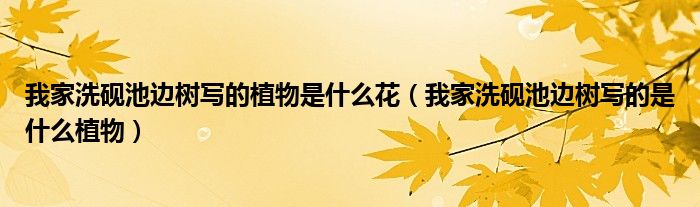 我家洗砚池边树写的植物是什么花（我家洗砚池边树写的是什么植物）
