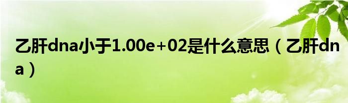 乙肝dna小于1.00e+02是什么意思（乙肝dna）