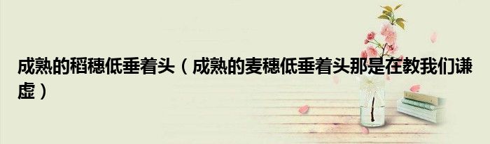 成熟的稻穗低垂着头（成熟的麦穗低垂着头那是在教我们谦虚）