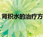 肾积水的治疗方法中药（肾积水的治疗方法）