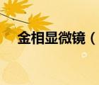 金相显微镜（说一说金相显微镜的简介）
