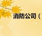 消防公司（说一说消防公司的简介）