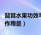 琵琶水果功效与作用是什么（琵琶顶部的弦轴作用是）