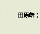 田原皓（说一说田原皓的简介）