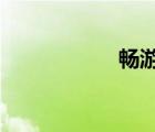 畅游网vip（畅游网）