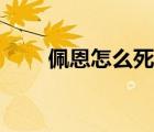佩恩怎么死的视频（佩恩怎么死的）
