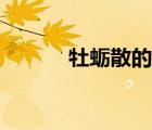 牡蛎散的配方和剂量（牡蛎散）
