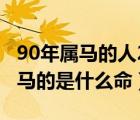 90年属马的人2023年的运势及运程（90年属马的是什么命）