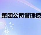 集团公司管理模式体系（集团公司管理模式）