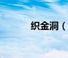 织金洞（说一说织金洞的简介）