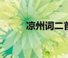 凉州词二首（凉州词二首王之涣）
