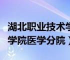 湖北职业技术学院医学院官网（湖北职业技术学院医学分院）