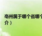 亳州属于哪个省哪个市（说一说亳州属于哪个省哪个市的简介）