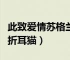 此致爱情苏格兰折耳猫微盘（此致爱情苏格兰折耳猫）