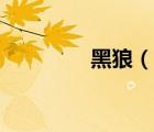 黑狼（说一说黑狼的简介）