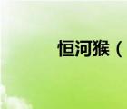 恒河猴（说一说恒河猴的简介）