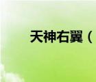 天神右翼（说一说天神右翼的简介）