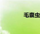 毛囊虫怎么治疗（毛囊虫）