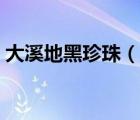 大溪地黑珍珠（说一说大溪地黑珍珠的简介）