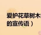 爱护花草树木的宣传语50字（爱护花草树木的宣传语）