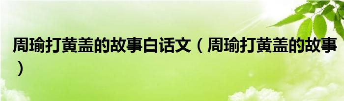周瑜打黄盖的故事白话文（周瑜打黄盖的故事）