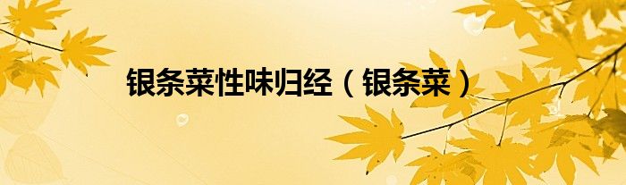 银条菜性味归经（银条菜）