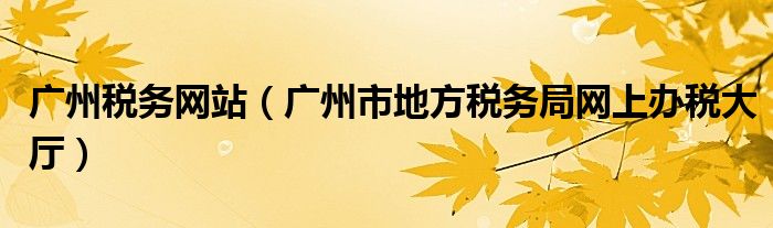 广州税务网站（广州市地方税务局网上办税大厅）