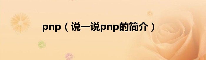 pnp（说一说pnp的简介）