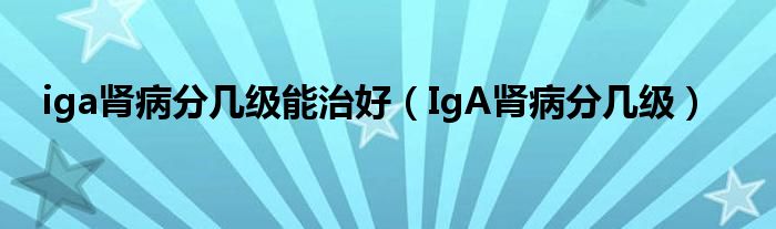 iga肾病分几级能治好（IgA肾病分几级）
