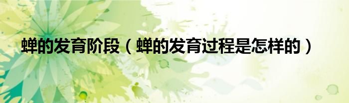 蝉的发育阶段（蝉的发育过程是怎样的）