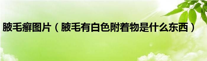 腋毛癣图片（腋毛有白色附着物是什么东西）