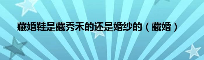 藏婚鞋是藏秀禾的还是婚纱的（藏婚）