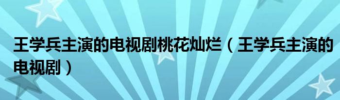 王学兵主演的电视剧桃花灿烂（王学兵主演的电视剧）