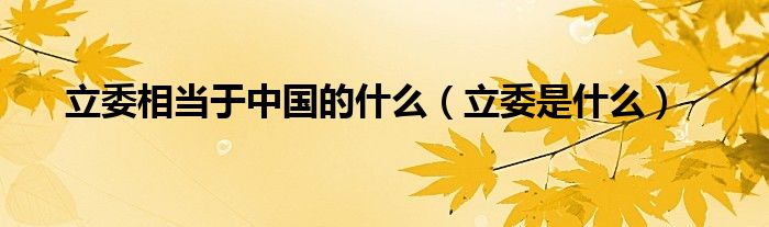 立委相当于中国的什么（立委是什么）