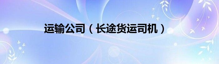 运输公司（长途货运司机）