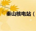 秦山核电站（说一说秦山核电站的简介）