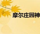 摩尔庄园神力超级拉姆（超级拉姆）