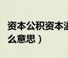 资本公积资本溢价是什么意思（资本溢价是什么意思）