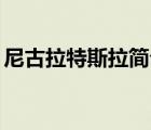 尼古拉特斯拉简介30字（尼古拉特斯拉简介）