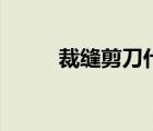 裁缝剪刀什么牌子好（裁缝剪刀）